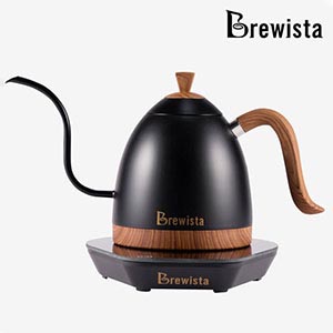 [Brewista] 브뤼스타 Artisan Gooseneck 온도조절 드립케틀 600ml_시크블랙